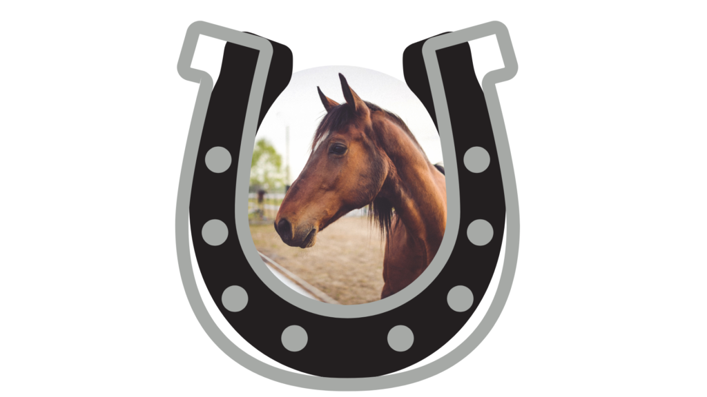 Equine wellness exam by mobile vet in Lake Wales