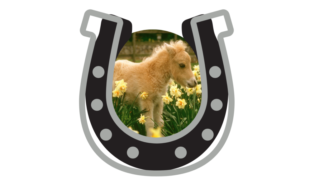 Mobile vet caring for goats and sheep in Polk County